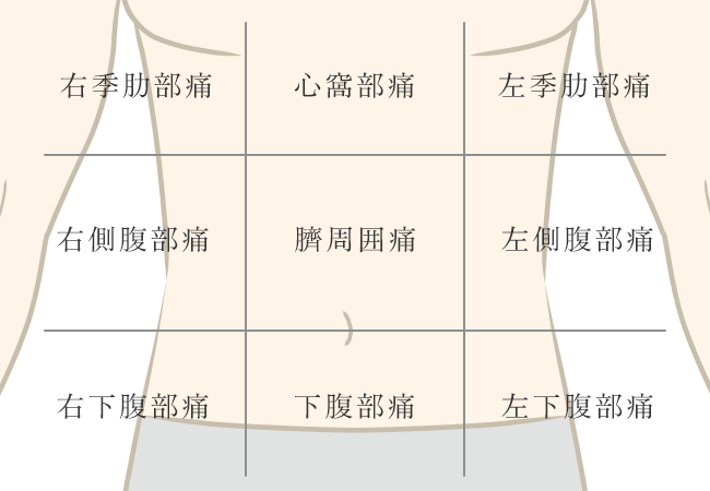 胃の部位