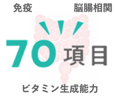 免疫　脳腸相関　70項目　ビタミン生成能力