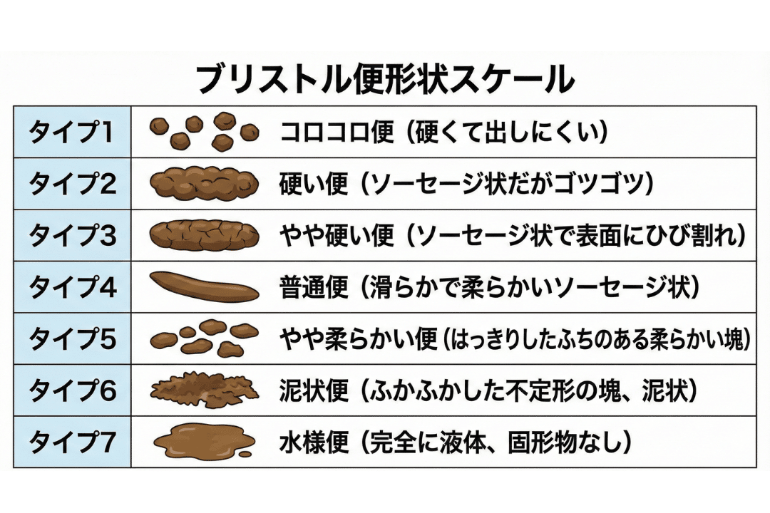 ブリストル便形状スケール（便の硬さの指標）